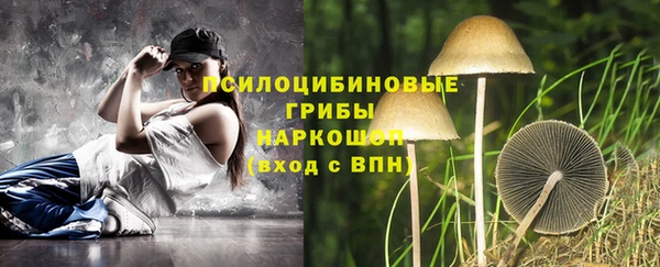 дурь Нефтегорск