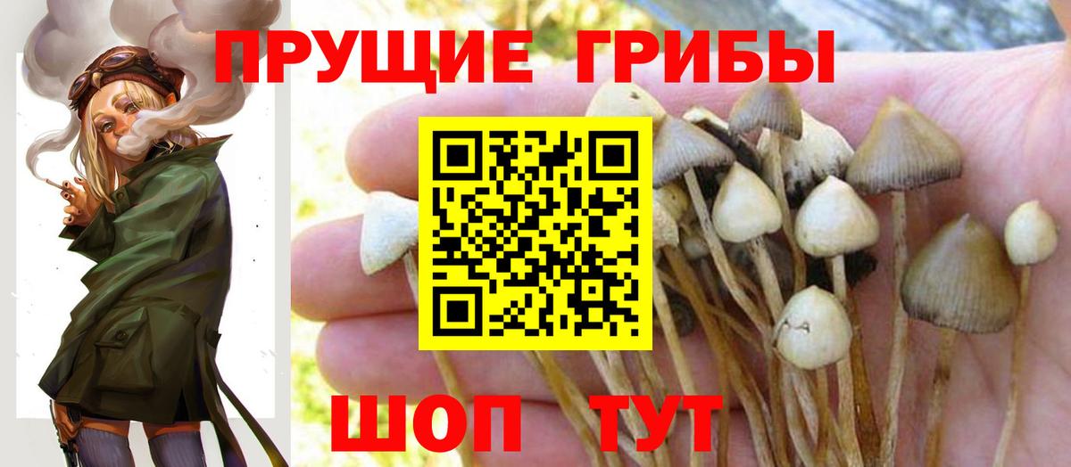 COCAIN Стерлитамак