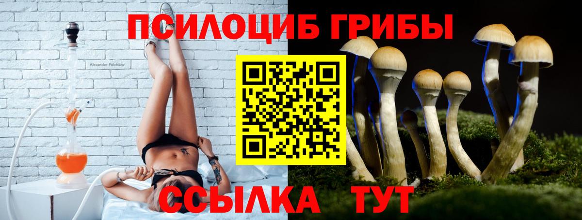 Галлюциногенные грибы прущие грибы  Стерлитамак 